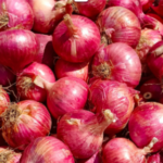Unlocking the Flavorful World of Onions: QD International LLP’s Export Expertise.