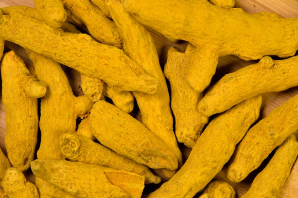 The Golden Spice: Exploring the Wonders of Turmeric with Qd International LLP.