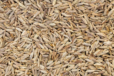 Cumin Seeds: The Flavorful Spice from Qd International LLP