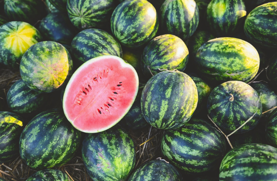 QD INTERNATIONAL LLP – Your Trusted Partner for Premium Watermelon Exports.